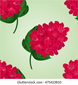 Seamless texture red rhododendron twig in bloom  mountain shrub vector illustration