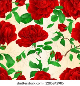 Seamless texture red roses with buds and leaves vintage  on a white background set three vector illustration editable hand draw