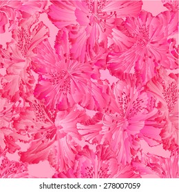 Seamless texture  rhododendron pink  flower Mountain shrub vector illustration