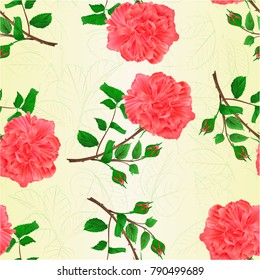 Seamless texture rose and buds pink twig with leaves on a white background vintage vector illustration editable hand draw