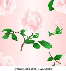 Seamless texture rose flower light pink twig with leaves and bud nature background vintage  vector editable illustration hand draw
