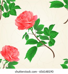 Seamless texture Rose flower pink twig with leaves crack vintage botanical vector illustration hand draw