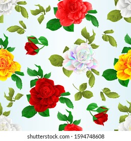 Seamless texture rose red pink white yellow colored and outline  with buds and leaves natural watercolor  vintage  on blue background vector illustration editable hand draw
