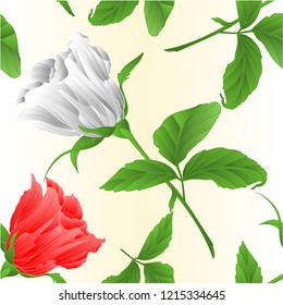 Seamless texture rosebud white and pink rose twig with leaves on a white background vintage vector illustration editable hand draw