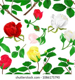 Seamless texture rosebuds  red yellow white stem with leaves and blossoms on a white background vintage vector illustration editable hand draw 
