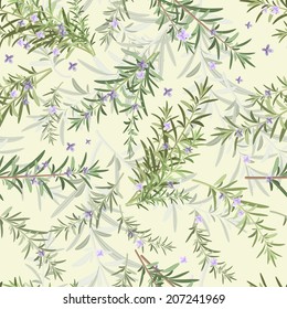 seamless texture of rosemary