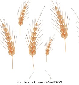 seamless texture of rye ears of wheat detailed vector