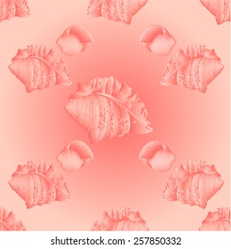 Seamless  texture   sea shells and  pink background vector Illustration 