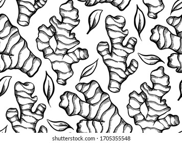 Seamless texture with a sketch of ginger roots with hatching on a white background. Healthy food. Engraving vector background for fabrics, wallpapers and your creativity.