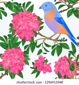Seamless texture small bird Bluebird  thrush and pinkrhododendron spring background vintage vector illustration editable hand draw