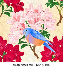 Seamless texture small bird Bluebird  thrush and light pink and red rhododendrons spring background vintage vector illustration editable hand draw