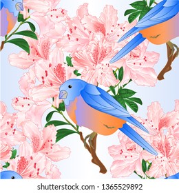 Seamless texture Small  bird Bluebird  thrush and light pink rhododendron branch  vintage vector illustration editable hand drawn