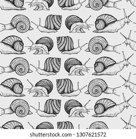 Seamless texture with snails and shells  on a light gray background. Nature repeating pattern. Graphic ornament. Can be used as wallpaper, desktop, wrapping, etc.