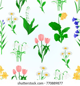 Seamless texture spring flowers lily of the valley ,snowdrops,bluebell  campanula and primrose  Daffodils ,Tulips, daisies  vintage vector  illustration editable hand draw 