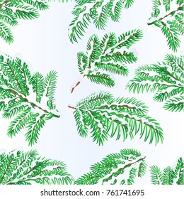 Seamless texture Spruce branches lush conifer winter snowy natural background vector illustration editable hand draw