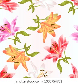 Seamless texture stem Lily flower white pink yellow red Lilium candidum on a white background  vintage vector illustration editable Hand draw