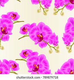 Seamless texture stem orchids flowers purple  Phalaenopsis tropical plant vintage vector botanical illustration for design editable hand draw 