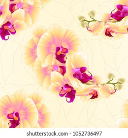Seamless texture stem orchids  yellow flowers  Phalaenopsis tropical plant    vintage vector botanical illustration for design hand draw 
