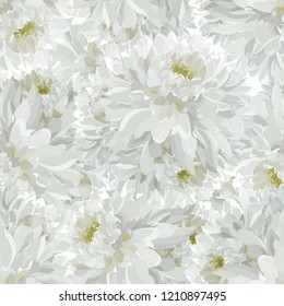 Seamless texture with summer white chrysanthemums. A vector.