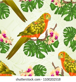 Seamless texture Sun Conure Parrot tropical exotic bird   with beautiful yellow orchid and philodendron vector illustration editable hand draw