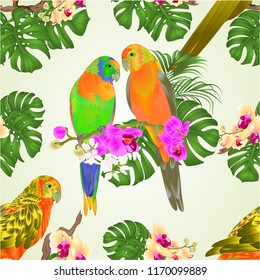 Seamless texture Sun Conure Parrots tropical exotic birds   with beautiful  orchids and philodendron vector illustration editable hand draw