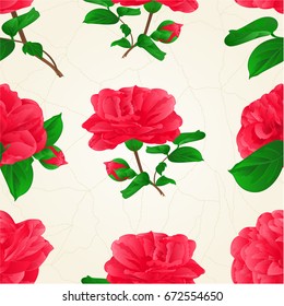 Seamless texture three Flowers Camellia Japonica  with buds vintage  crack vector illustration editable hand draw