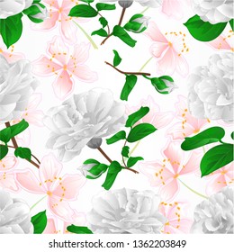 Seamless texture three white flowers Camellia Japonica  with sakura  vintage vector illustration editable  hand draw