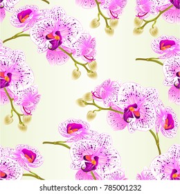 Seamless texture three white flowers Camellia Japonica  with buds vintage vector illustration editable  hand draw 
