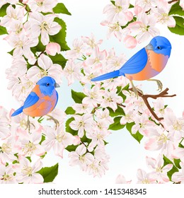 Seamless texture thrush small  birds  Bluebirds  on a apple tree with flowers vintage vector illustration editable hand draw
