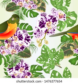 Seamless texture tropical bird  with flowers orchid spotted Phalaenopsis  floral arrangement, with beautiful  palm,philodendron  ficus monstera vintage vector illustration  editable hand draw 