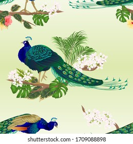 Seamless texture tropical birds Peacock   on branch with  ficus and hibiscus and philodendron watercolor vintage vector illustration editable hand drawn  