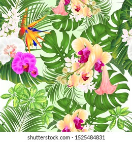 Seamless texture tropical flowers  with  Brugmansia  Strelitzia reginae yellow white and purple  orchid Phalaenopsis palm monstera leaf banana  vintage vector illustration editable hand draw 
