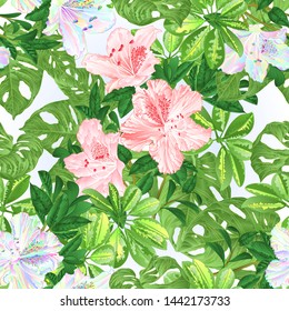 Seamless texture tropical flowers  floral arrangement beautiful pink and multicolored rhododendrons with    Schefflera  and Monstera vintage vector illustration  editable hand draw 