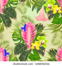 Seamless texture tropical flowers  floral arrangement, with  tillandsia cyanea  and orchids cymbidium  palm,philodendron  vintage vector illustration  editable hand draw 