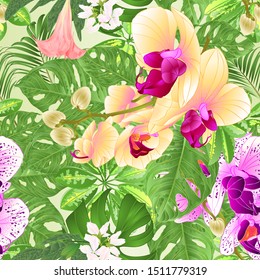Seamless texture  tropical flowers  floral arrangement beautiful and yellow  orchids Phalaenopsis  purple and white with    Schefflera  and Monstera vintage vector illustration  editable hand draw 
