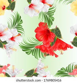 Seamless texture tropical flowers  various hibiscus and  ficus and palm set vector 