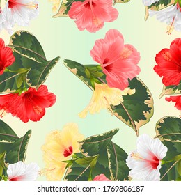 Seamless texture tropical flowers  various hibiscus and  ficus watercolor vector 