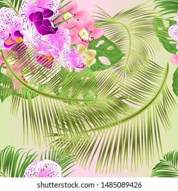 Seamless texture Tropical Orchids Cymbidium  pink and  Phalaenopsis flowers and Monstera and palm  watercolor vintage vector illustration editable hand draw