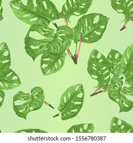 Seamless texture tropical plant sheets of Monstera deliciosa bunches   natural  isolated on a green background watercolor botanical background vintage vector illustration  editable hand draw 