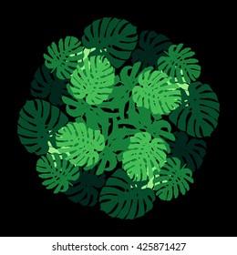 seamless texture with tropical plants. Monstera adansonii