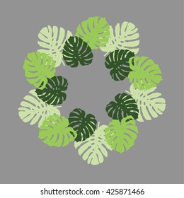 seamless texture with tropical plants. Monstera adansonii