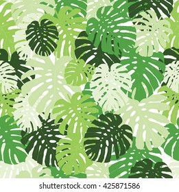 seamless texture with tropical plants. Monstera adansonii