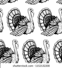 Seamless texture with with turkey. Repeating background. Tile pattern. Good for the cards to Thanksgiving day.