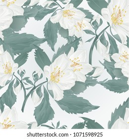 Seamless texture twig jasmine flower and buds spring flower  vintage vector illustration editable hand draw
