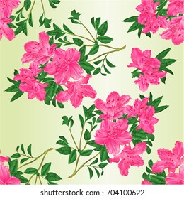 Seamless texture twig pink rhododendron  with flowers and leaves   vintage vector editable botanical illustration hand draw 