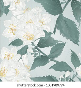 Seamless texture twig spring flower jasmine and buds crack vintage vector illustration  editable hand draw