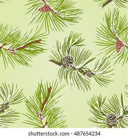 Seamless texture two pine branches with pine cones with snow vector illustration