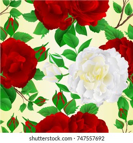 Seamless texture two purple and white rose vintage vector illustration editable hand draw