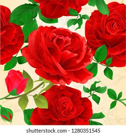 Seamless texture various red roses with buds and leaves vintage  natural spring background vintage vector illustration editable hand draw