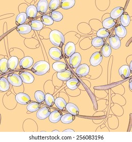 Seamless texture with watercolor willow. Watercolor Easter bouquet of the branches of fluffy willow.